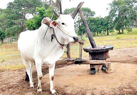 నేను నువ్వు ఆరోగ్యం!