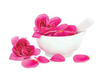 సంక్రాంతి వేళ సొగసుగా!