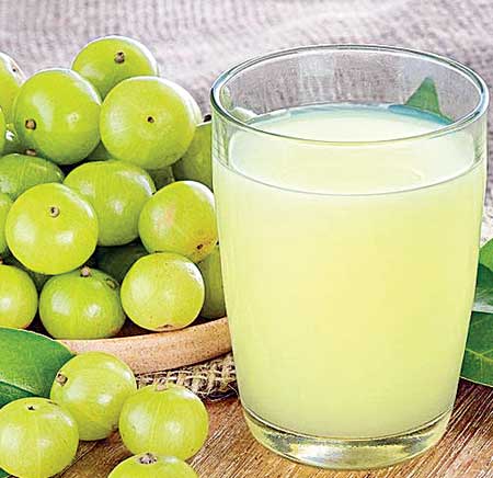 ఆరోగ్యానికి... ఉసిరిసంపద