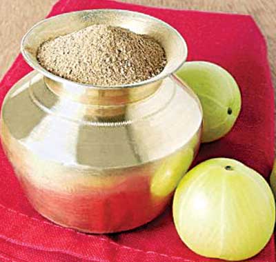 ఆరోగ్యానికి... ఉసిరిసంపద