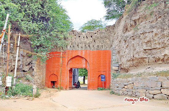 పాలమూరు పోరుజోరు