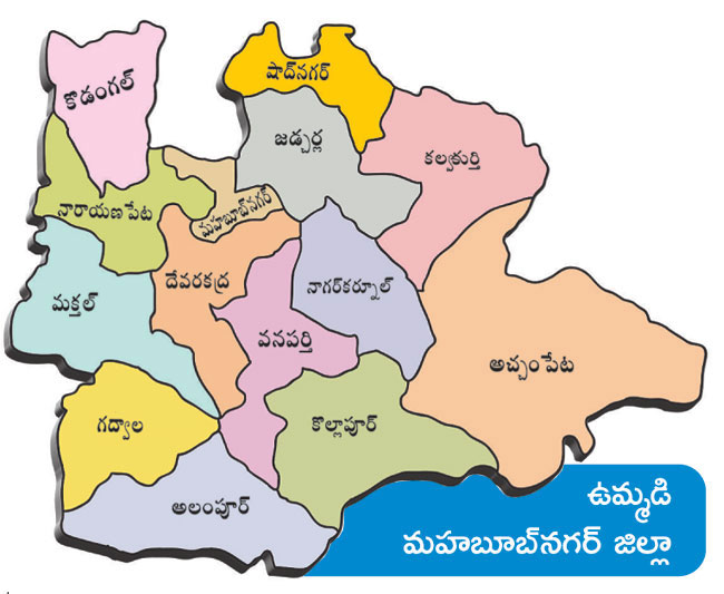 పాలమూరు పోరుజోరు