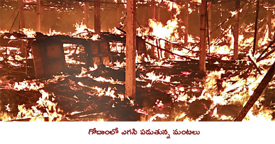 బాలినేని విజయోత్సవ యాత్రలో అపశ్రుతి